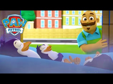 Psi Patrol (PAW Patrol) - Sezon 1 - Odcinek 1 - Najlepszy ratunek dla zwierząt!