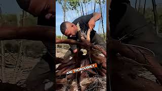 This Is How Your tapioca pearl Is Actually Made🤯 #shorts #this #how #tapioca #pearl #made #facts