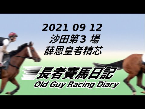 2021 09 12 沙田 第三場 薛恩 皇者精芯