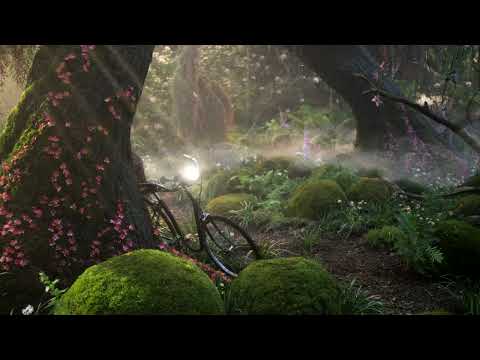Enchanted Forest Ambience & Music