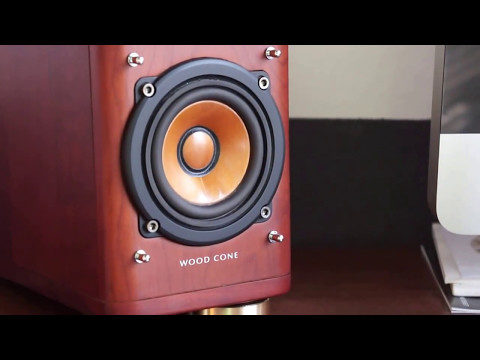 JVC SP-EXA1, Wood Cone