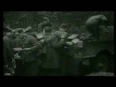 Der Frankreich-Feldzug - Fall Gelb