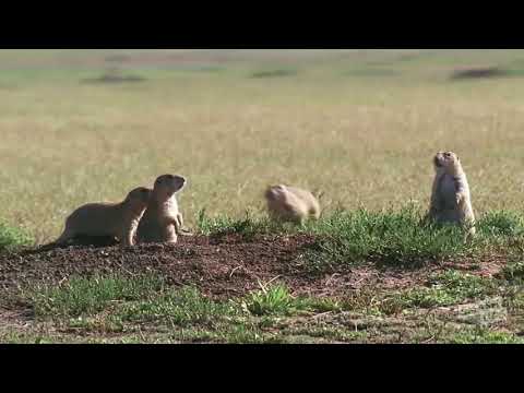 Happy Birthday, Nick!