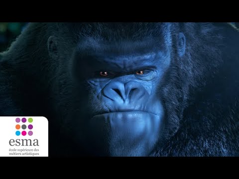 Liyoki - ESMA 2020 (Teaser)