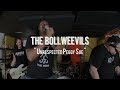 The Bollweevils - "Unrespected Peggy Sue" Live! from The Rock Room