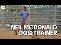 World Class Dog Trainer Neil McDonald Muster Dogs