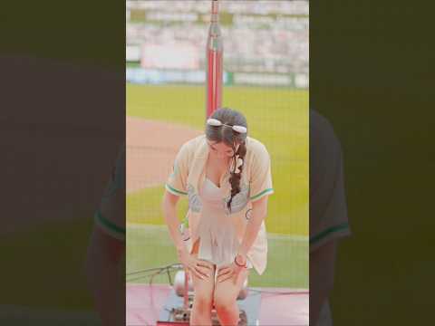 아이콘