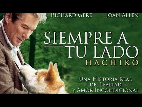 Siempre a tu lado pelicula completa en español latino