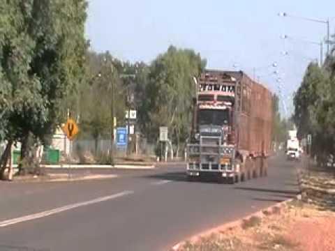 tanami transport c501 brute no:2