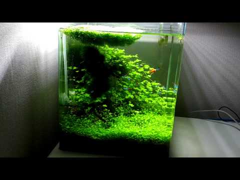 Watch Video on YouTube