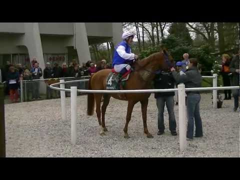 Draf- en Renbaan Duindigt, Uncut. Sunday 08-04-2012 Part 2