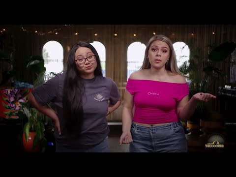 How to Escape an Island Parent Enforced Lockdown | Fresh Tips & Trix