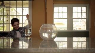 The Malpractice - Oh, the Irony (Official HD music video)