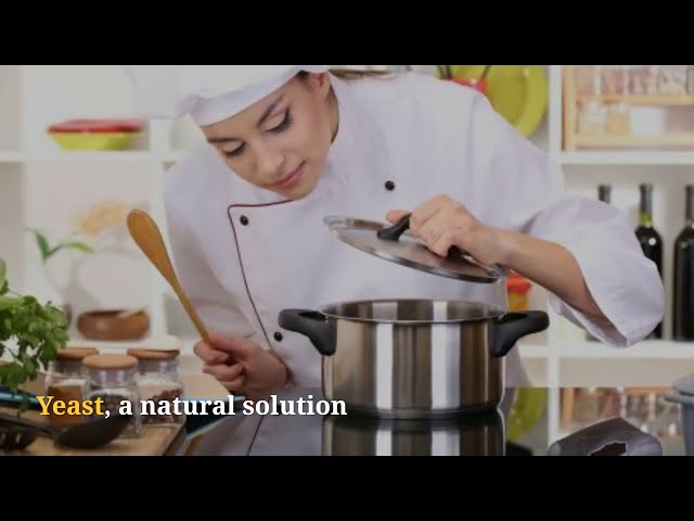 imagen-video-thefoodtech