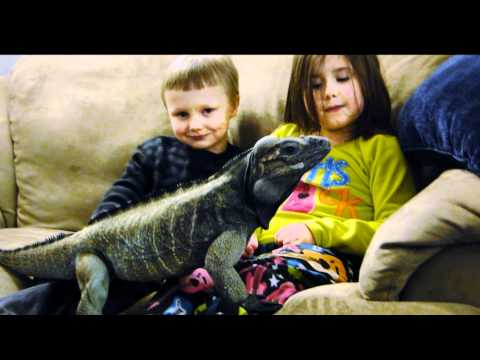 YouTube Video e3GAd1DMnUI