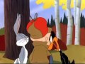 Bugs Bunny Daffy Duck 10 Hour Hunting Season Argument