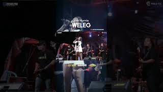 Download lagu DINI KURNIA -- WELEG #dinikurnia #onepro mp3