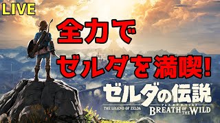 【ゼルダの伝説 ブレス オブ ザ ワイルド】ゼルダを満喫するで。
