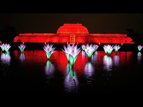Video Thumbnail: One million LEDs: Kew Gardens unveils new Christmas light trail