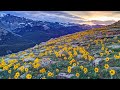golden gate quartet   go tell it on the mountain