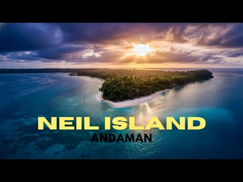 Neil Island | Andaman & Nicobar | Travel Guide | All beaches  #andaman #island #beach #neil