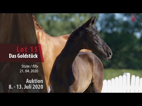 Online Auktion 9. - 13. Juli: Lot 15 Das Goldstück Stute v. Dancier Gold - Fürst Fugger