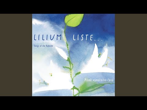 Andělové, andělové