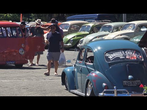 Fuscas por aí está ao vivo! Encontro de Pomerode Fuscas