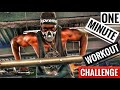 1 Minute Workout Challenge | Calisthenics | #Shorts