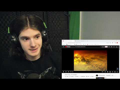 First listen to The Stranglers - Golden Brown (REACTION)