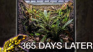 110 gallon POISON FROG Terrarium!! 1 YEAR later!🌿