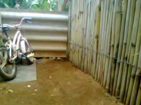 Edmundo jogando futebol