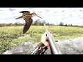 HUNTING the FASTEST game BIRD on EARTH *SNIPE* CC&C BlueGabe Style