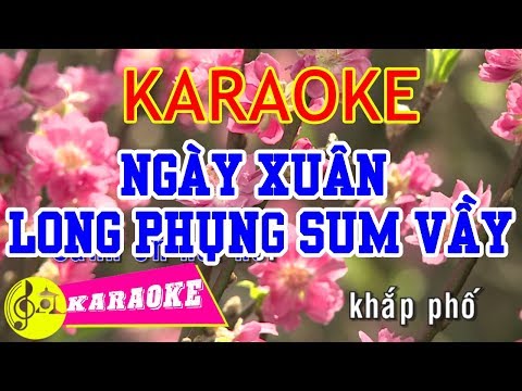 Ngày Xuân Long Phụng Sum Vầy Karaoke || Beat Chuẩn