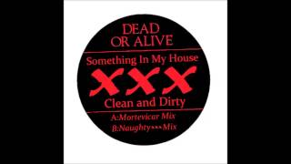 Dead or Alive - Something In My House (Naughty XXX Mix)