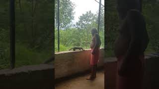 preview picture of video 'ज्योतिर्लिंग ओम्कारेश्वर के समीप  खेड़ी घाट अखंड भंडारा बेजुबान जानवरों का राजगिरी जी महाराज द्वारा'