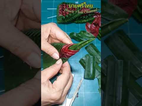 ขั้นตอน