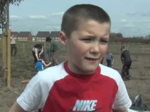 The Story Of Mab Lane Community Woodland