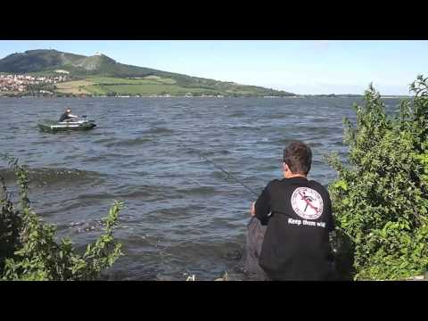 Carp fishing - Nove Mlyny 2011