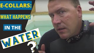 Education on E-Collars,  What Happens in the Water?