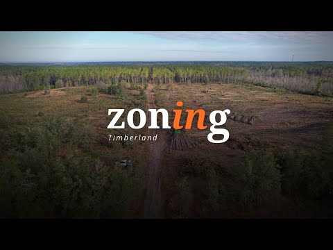 Zoning In: Timberland | The Process of Tree Harvesting in Florida