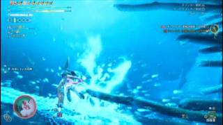 モンスターハンターワイルズ Monster Hunter Wilds [MHWs] 本日の出来事... (水中戦不参加...)