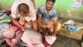 Fish Cutting #trending
