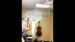 HL- love never fails- David Haas