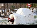 Crusoe Gets His BarkBox Delivered To His Igloo In Canada With Free Shipping