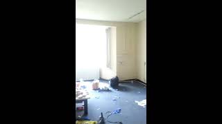 Album cover: Pigeon removal