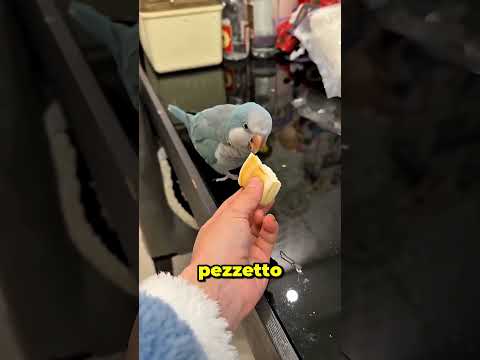 Tutti Volevano Un Pezzetto Di Pane 😄🍞