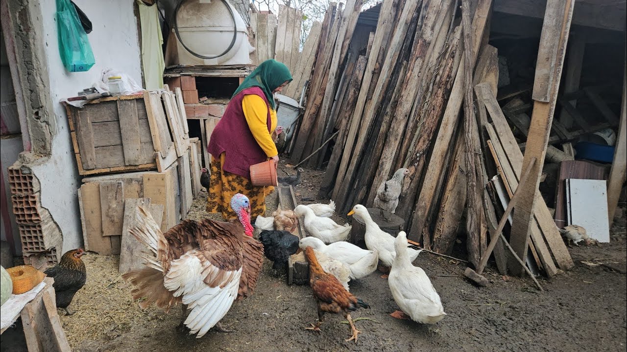 SAĞLIK HUZUR DOLU MUTLU BİRGÜN ‼️☺️