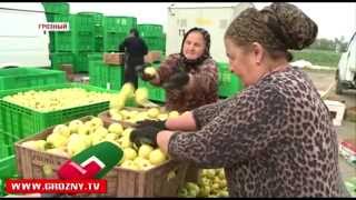 «Родина» обеспечит и работой, и качественной продукцией