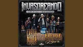 Entre Hierba, Polvo Y Plomo Lyrics English Translation